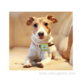 4G Smart Dog GPS Collar